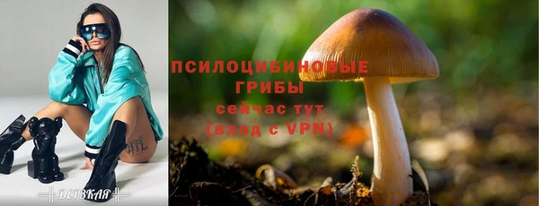 стаф Алексеевка