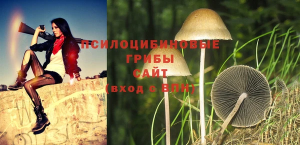 прущие крисы Алзамай